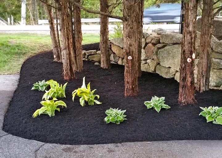mulching and planting in nh
